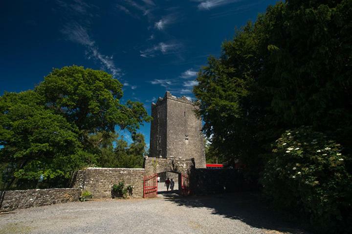 Ross Castle B&B Oldcastle Exterior foto